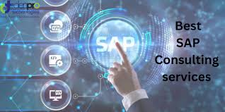 SAP Consulting